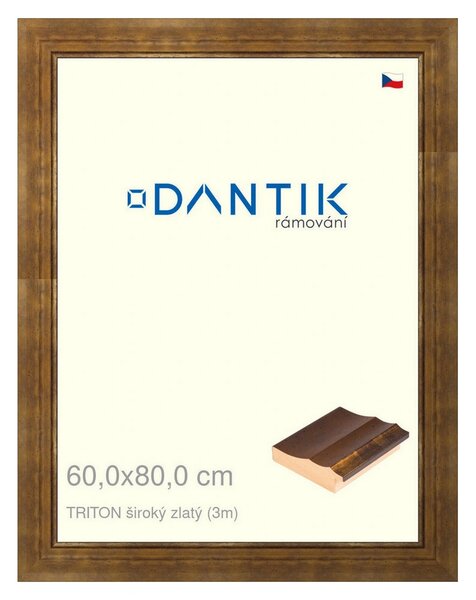 DANTIK rám na obraz 60x80 | TRITON široký zlatý (Plexi Čiré)