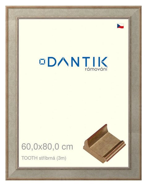 DANTIK rám na obraz 60x80 | TOOTH stříbrná (Plexi Čiré)