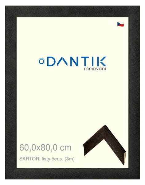 DANTIK rám na obraz 60x80 | SARTORI listy čer.s. (Plexi Čiré)