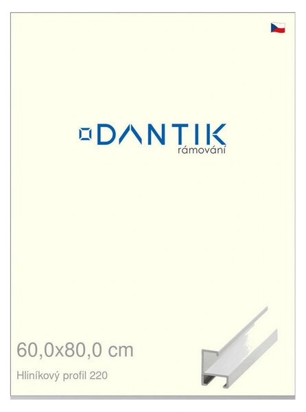 DANTIK rám na obraz 60x80 | ALU Bílá matná (Plexi Čiré)