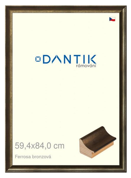 DANTIK rám na obraz 59,4x84 | Ferrosa bronzová (Plexi Čiré)