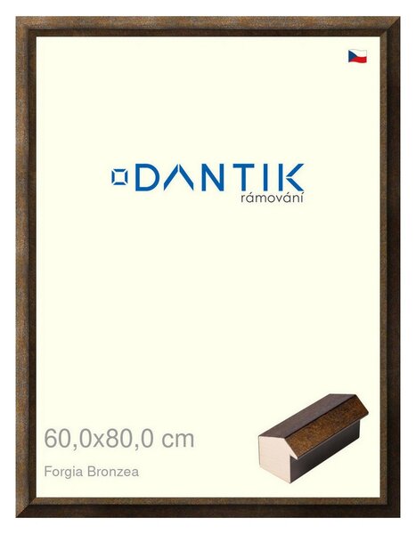 DANTIK rám na obraz 60x80 | Forgia Bronzea (Plexi Čiré)