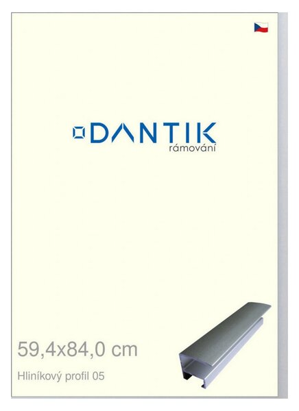 DANTIK rám na obraz 59,4x84 | ALU Stříbrná matná (Plexi Čiré)