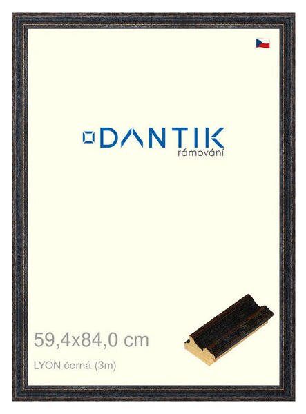 DANTIK rám na obraz 59,4x84 | LYON černá (Plexi Čiré)