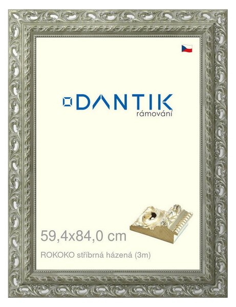 DANTIK rám na obraz 59,4x84 | ROKOKO stříbrná házená (Plexi Čiré)