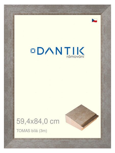 DANTIK rám na obraz 59,4x84 | TOMAS bílá velká (Plexi Čiré)