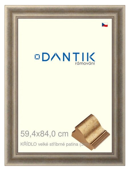 DANTIK rám na obraz 59,4x84 | KŘÍDLO velké stříbrné patina (Plexi Čiré)