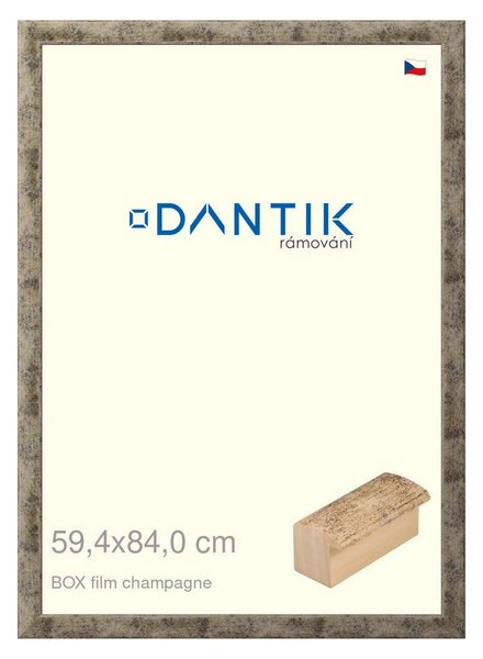 DANTIK rám na obraz 59,4x84 | BOX film champagne (Plexi Čiré)