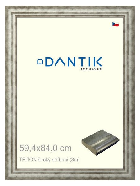 DANTIK rám na obraz 59,4x84 | TRITON široký stříbrný (Plexi Čiré)