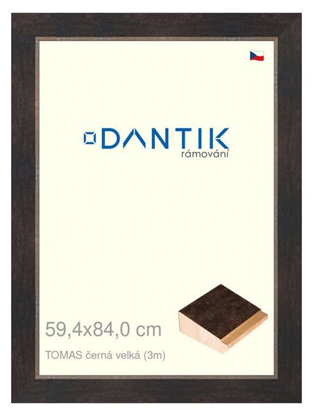 DANTIK rám na obraz 59,4x84 | TOMAS černá velká (Plexi Čiré)