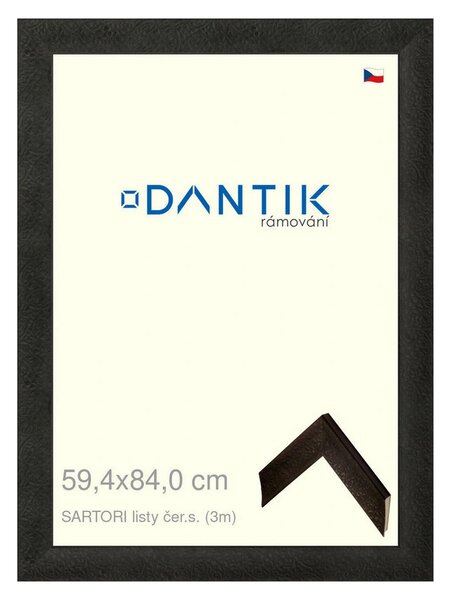 DANTIK rám na obraz 59,4x84 | SARTORI listy čer.s. (Plexi Čiré)