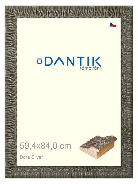 DANTIK rám na obraz 59,4x84 | Dora Silver (Plexi Čiré)