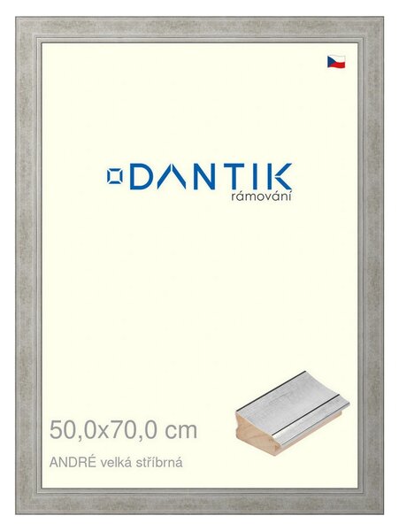 DANTIK rám na obraz 50x70 | ANDRÉ velká stříbrná (Plexi Čiré)