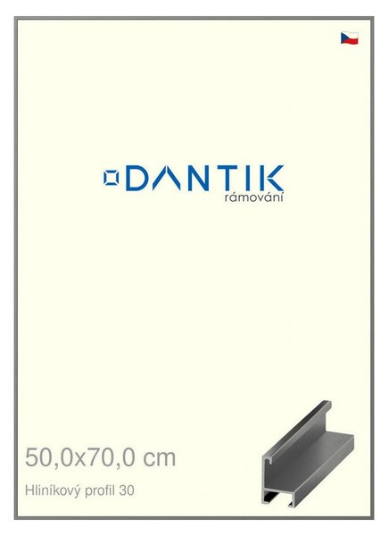 DANTIK rám na obraz 50x70 | ALU Ocelová (Plexi Čiré)