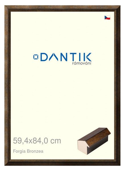 DANTIK rám na obraz 59,4x84 | Forgia Bronzea (Plexi Čiré)