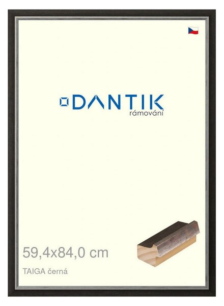DANTIK rám na obraz 59,4x84 | TAIGA černá (Plexi Čiré)