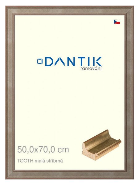 DANTIK rám na obraz 50x70 | TOOTH malá stříbrná (Plexi Čiré)