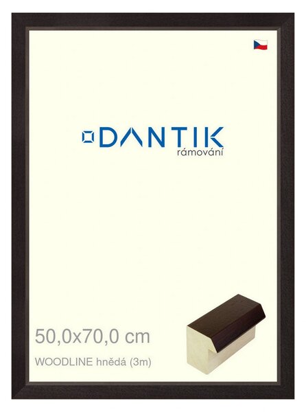 DANTIK rám na obraz 50x70 | WOODLINE hnědá (Plexi Čiré)