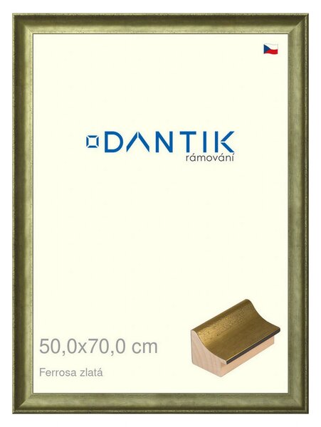 DANTIK rám na obraz 50x70 | Ferrosa zlatá (Plexi Čiré)