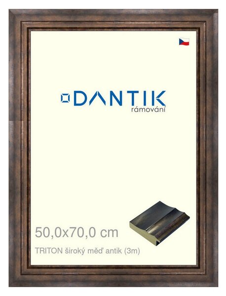 DANTIK rám na obraz 50x70 | TRITON široký měď antik (Plexi Čiré)
