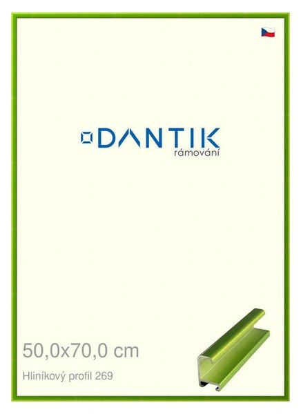 DANTIK rám na obraz 50x70 | ALU Zelená Smaragd broušená (Plexi Čiré)
