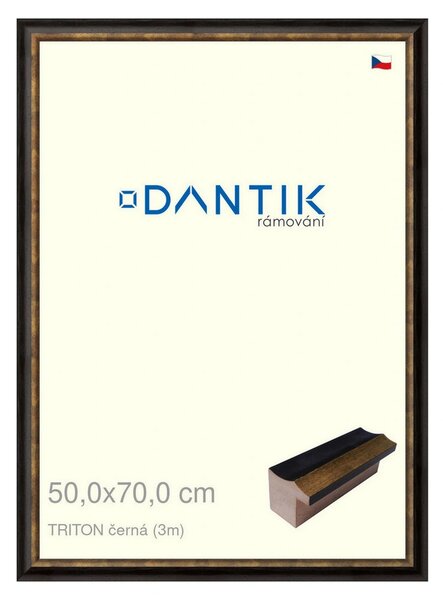 DANTIK rám na obraz 50x70 | TRITON černá (Plexi Čiré)