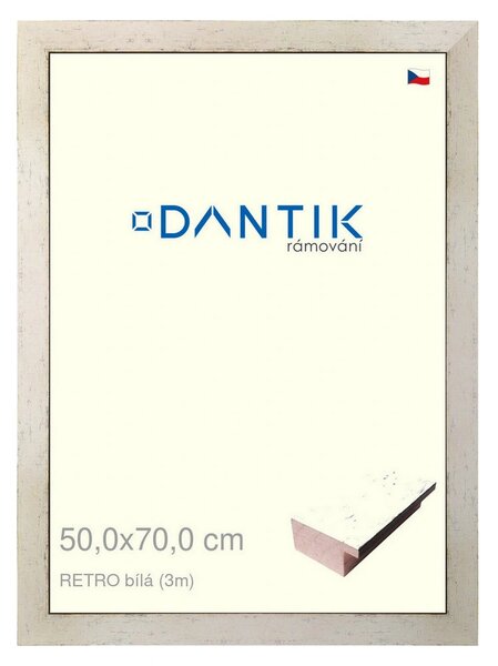DANTIK rám na obraz 50x70 | RETRO bílá (Plexi Čiré)