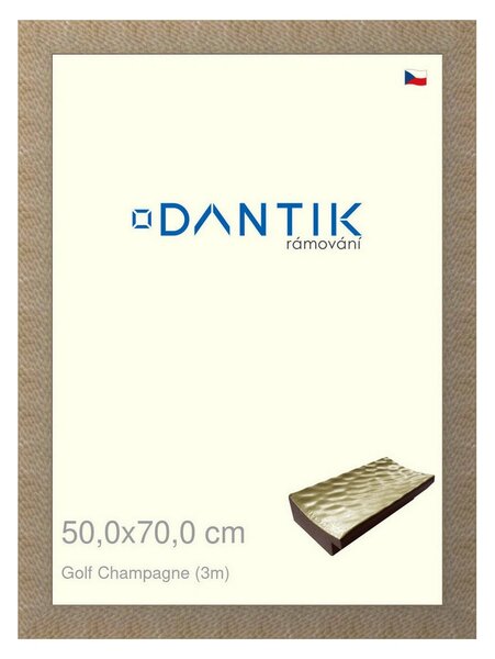 DANTIK rám na obraz 50x70 | Golf champagne (Plexi Čiré)
