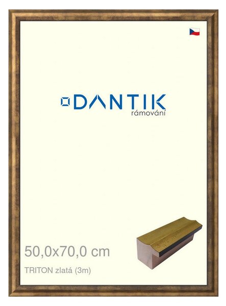 DANTIK rám na obraz 50x70 | TRITON zlatá (Plexi Čiré)
