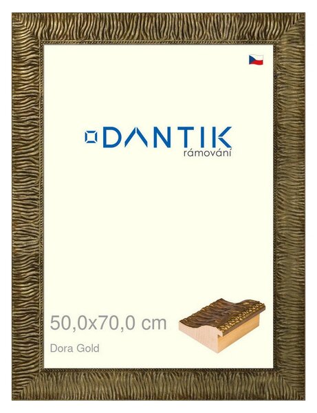 DANTIK rám na obraz 50x70 | Dora Gold (Plexi Čiré)