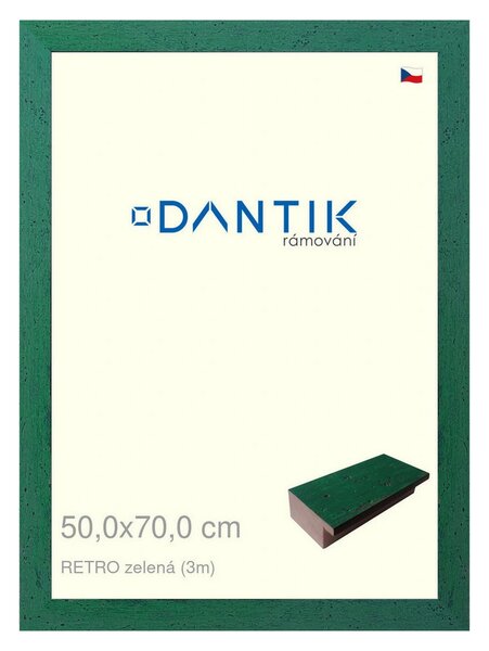 DANTIK rám na obraz 50x70 | RETRO zelená (Plexi Čiré)