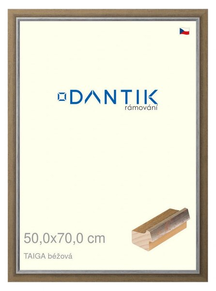 DANTIK rám na obraz 50x70 | TAIGA béžová (Plexi Čiré)