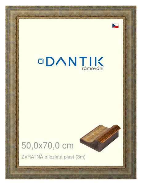 DANTIK rám na obraz 50x70 | ZVRATNÁ bílozlatá plast (Plexi Čiré)