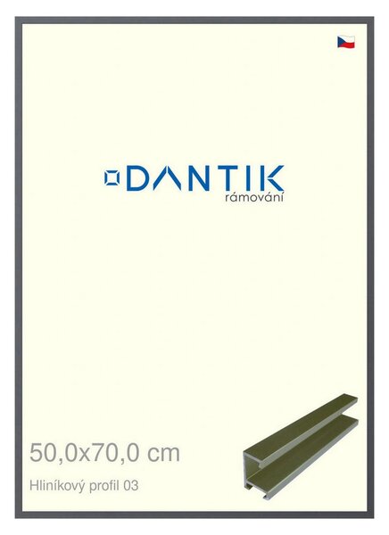DANTIK rám na obraz 50x70 | ALU Platina matná (Plexi Čiré)