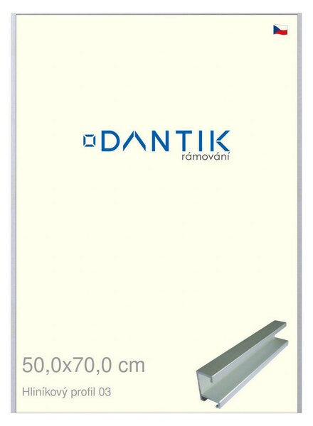 DANTIK rám na obraz 50x70 | ALU Stříbrná matná (Plexi Čiré)