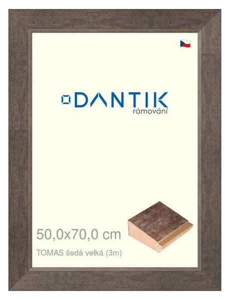 DANTIK rám na obraz 50x70 | TOMAS šedá velká (Plexi Čiré)