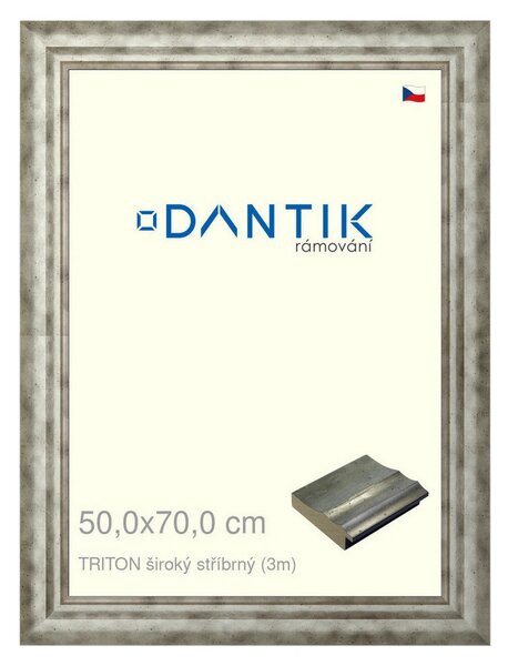 DANTIK rám na obraz 50x70 | TRITON široký stříbrný (Plexi Čiré)