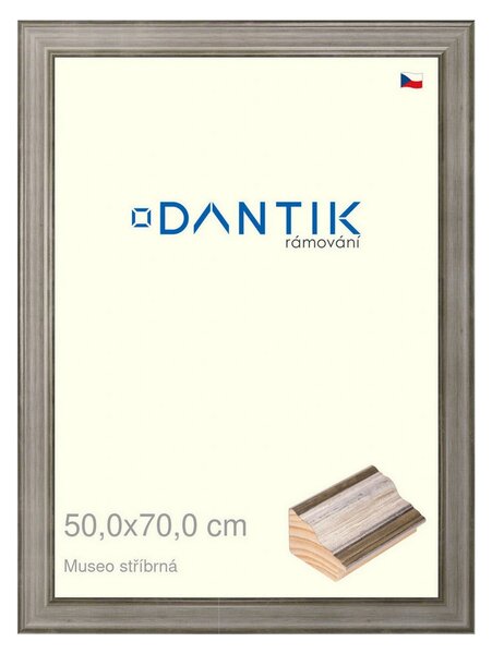 DANTIK rám na obraz 50x70 | Museo stříbrná (Plexi Čiré)