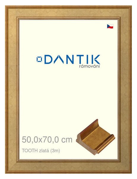DANTIK rám na obraz 50x70 | TOOTH zlatá (Plexi Čiré)