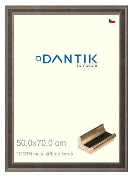 DANTIK rám na obraz 50x70 | TOOTH malá stříbrno černá (Plexi Čiré)