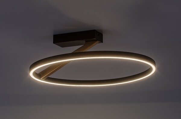 Rabalux 71351 - LED stropné svietidlo RENARA LED/24W/230V 3000K priemer 45 cm