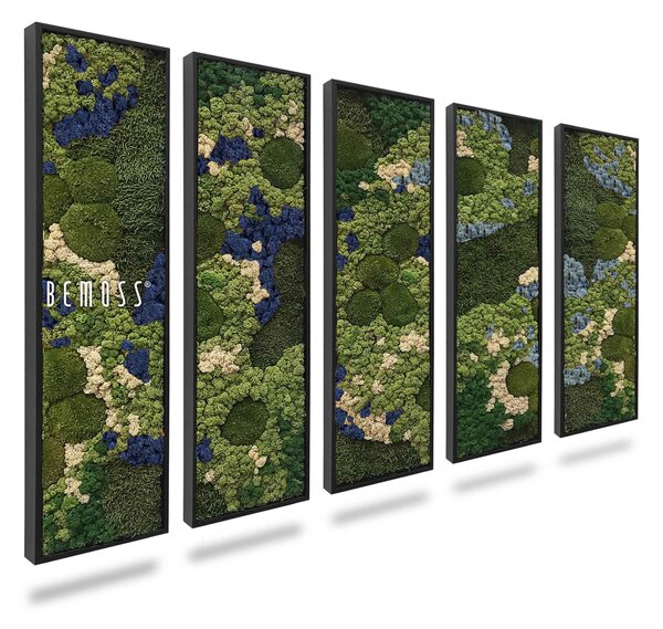 Machový set obrazov BEMOSS® ORTHO BLUE - 5ks 30 x 90 cm