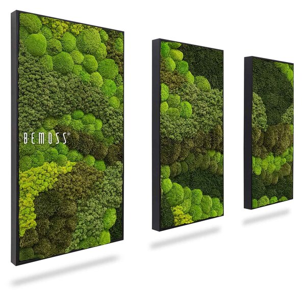 Machový set obrazov BEMOSS® ORTHO VERDIA TRIO - 3ks 40 x 80 cm
