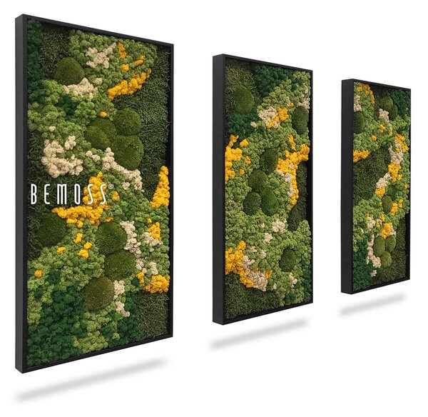 Machový set obrazov BEMOSS® ORTHO YELLOW - 3ks 40 x 80 cm