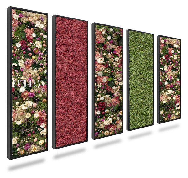 Machový set obrazov HUELMA a LIŠAJNÍK - 5ks 30 x 90 cm