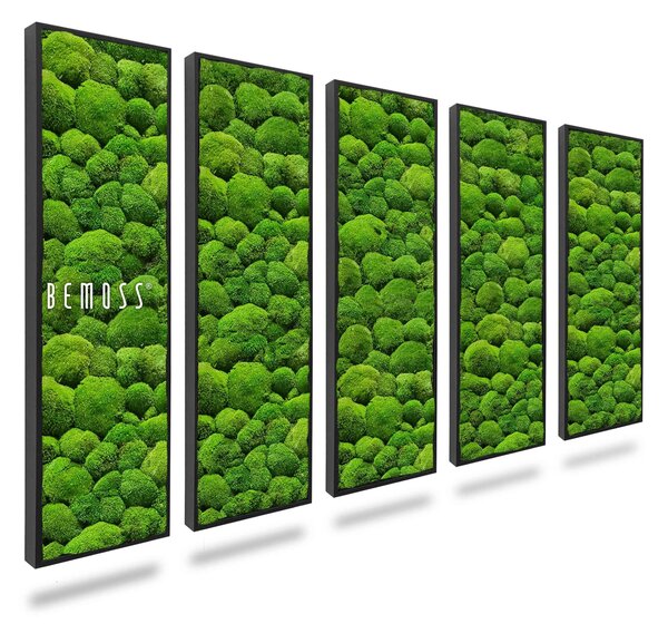 Machový set obrazov BOLMOSS - 5ks 30 x 90 cm