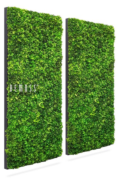 Machový set obrazov BEMOSS® MIMI - 2ks 80 x 200 cm