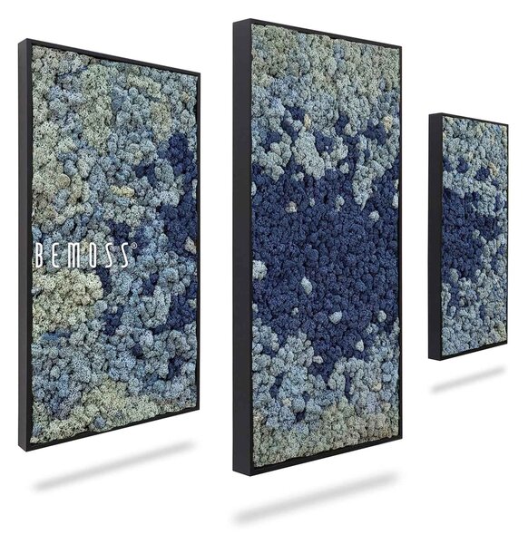 Machový set obrazov BEMOSS® ORTHO SPLASH - 2ks 45 x 90cm + 1ks 60 x 120cm