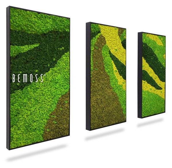 Machový set obrazov BEMOSS® ORTHO CARROT - 3ks 40 x 80 cm