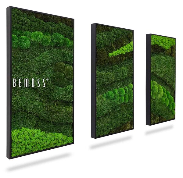 Machový set obrazov BEMOSS® ORTHO TOCÓN - 3ks 40 x 80 cm